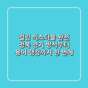 컬링 믹스더블 완전 정복! 경기 방식부터 용어, 랭킹까지 한 번에!