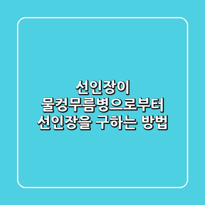 선인장이 물컹?무름병으로부터 선인장을 구하는 방법