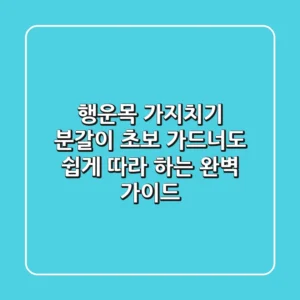행운목 가지치기 & 분갈이: 초보 가드너도 쉽게 따라 하는 완벽 가이드