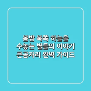 봄밤, 북쪽 하늘을 수놓는 별들의 이야기: 큰곰자리 완벽 가이드