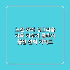 노란 카라, 싱그러움 가득! 키우기, 물주기, 꽃말 완벽 가이드