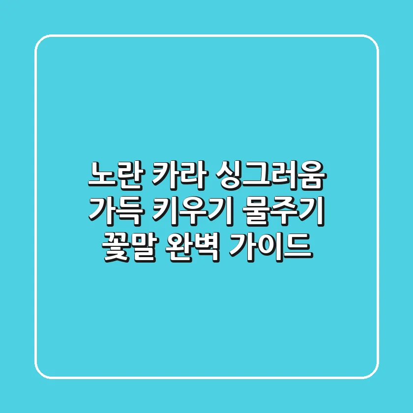 노란 카라, 싱그러움 가득! 키우기, 물주기, 꽃말 완벽 가이드