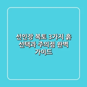 선인장 복토, 3가지 흙 선택과 주의점 완벽 가이드