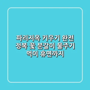 파리지옥 키우기 완전 정복: 꽃, 분갈이, 물주기, 먹이, 휴면까지!