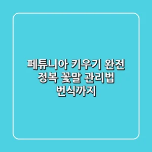 페튜니아 키우기 완전 정복: 꽃말, 관리법, 번식까지!