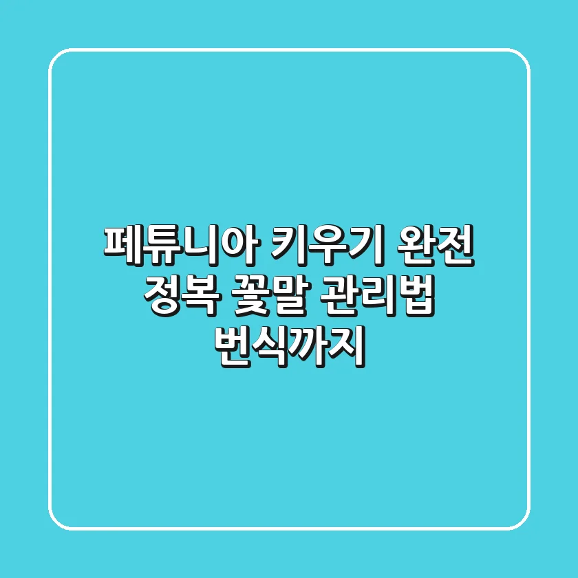 페튜니아 키우기 완전 정복: 꽃말, 관리법, 번식까지!