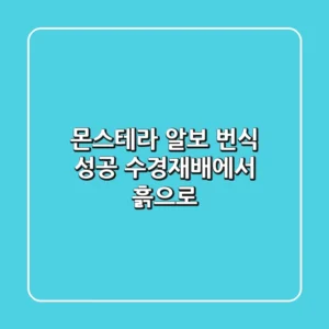 몬스테라 알보 번식 성공! 수경재배에서 흙으로 🌱