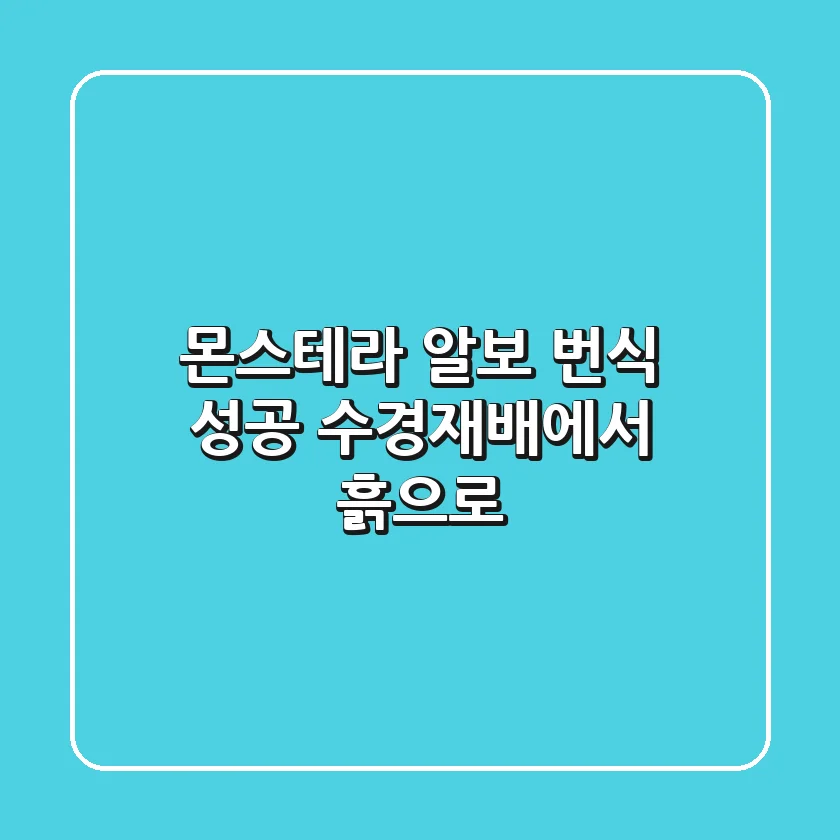 몬스테라 알보 번식 성공! 수경재배에서 흙으로 🌱