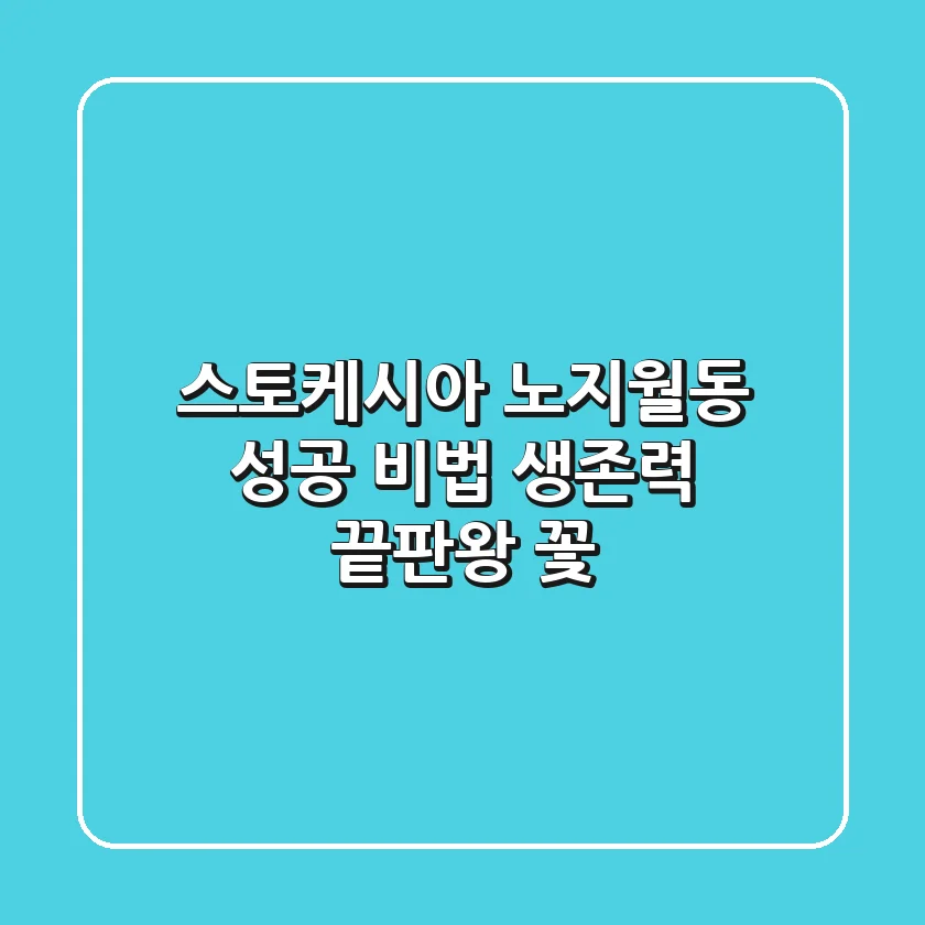 스토케시아 노지월동 성공 비법: 생존력 끝판왕 꽃!