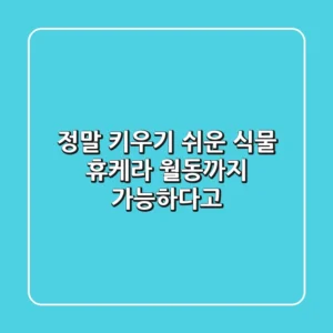 정말 키우기 쉬운 식물, 휴케라! 월동까지 가능하다고?