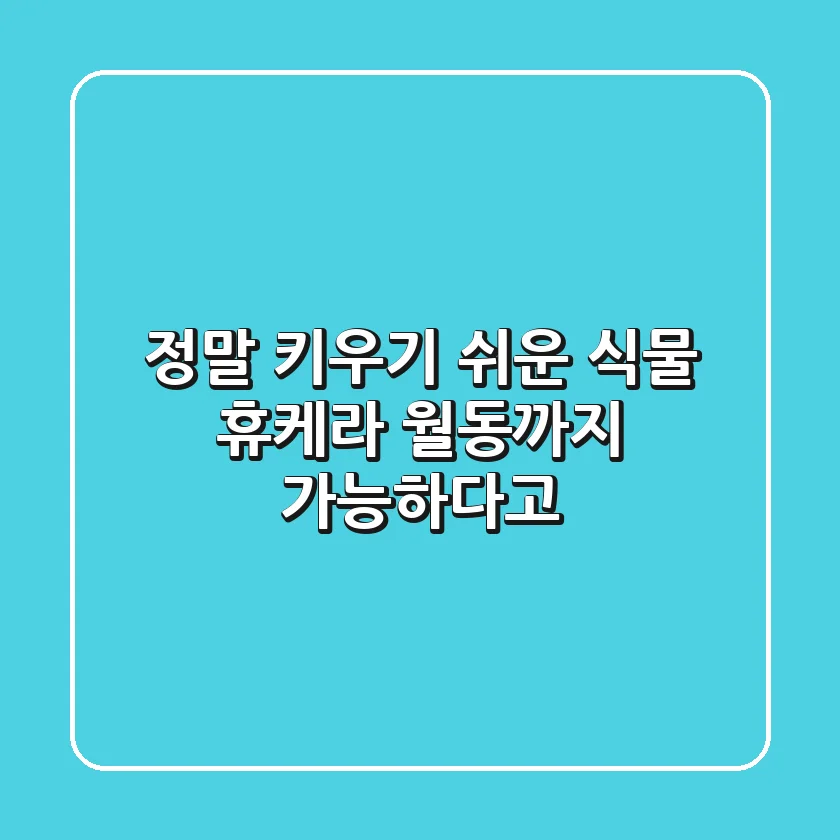 정말 키우기 쉬운 식물, 휴케라! 월동까지 가능하다고?