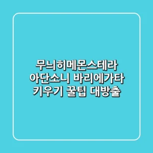 무늬히메몬스테라 아단소니 바리에가타 키우기: 꿀팁 대방출!