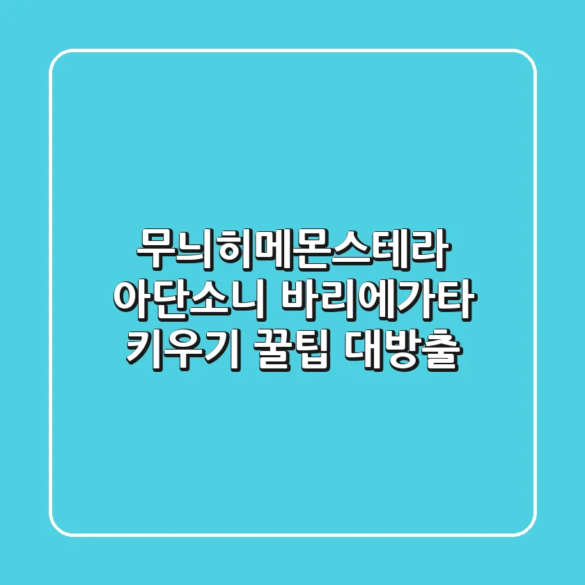 무늬히메몬스테라 아단소니 바리에가타 키우기: 꿀팁 대방출!
