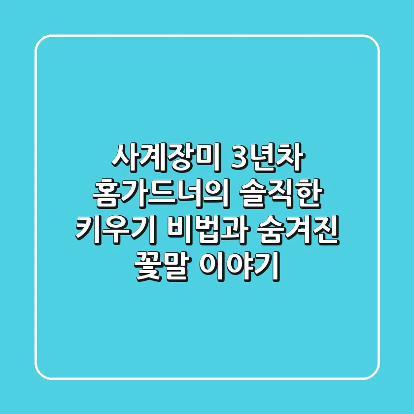 사계장미, 3년차 홈가드너의 솔직한 키우기 비법과 숨겨진 꽃말 이야기