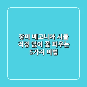 장미 베고니아, 시들 걱정 없이 꽃 피우는 5가지 비법