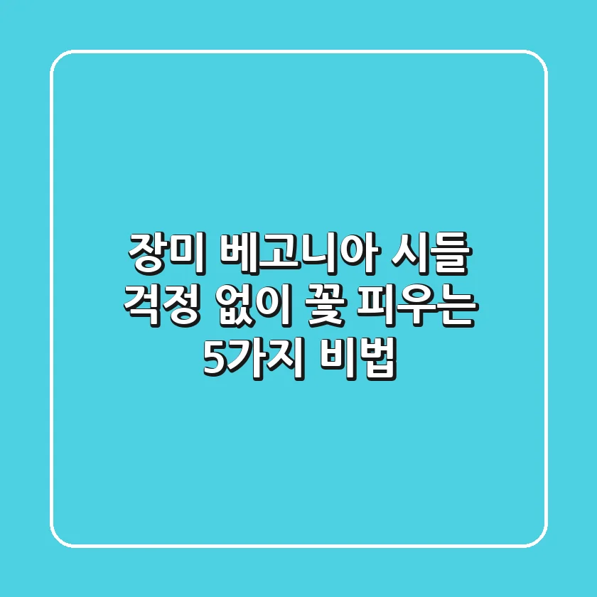 장미 베고니아, 시들 걱정 없이 꽃 피우는 5가지 비법