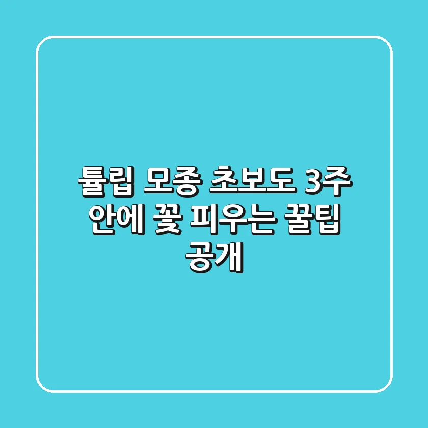 튤립 모종, 초보도 3주 안에 꽃 피우는 꿀팁 공개