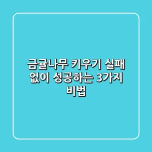 금귤나무 키우기 실패 없이 성공하는 3가지 비법