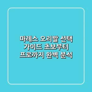 마레스 오리발 선택 가이드: 초보부터 프로까지 완벽 분석 🐬