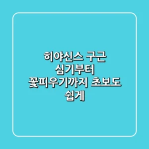 히야신스 구근 심기부터 꽃피우기까지! 초보도 쉽게
