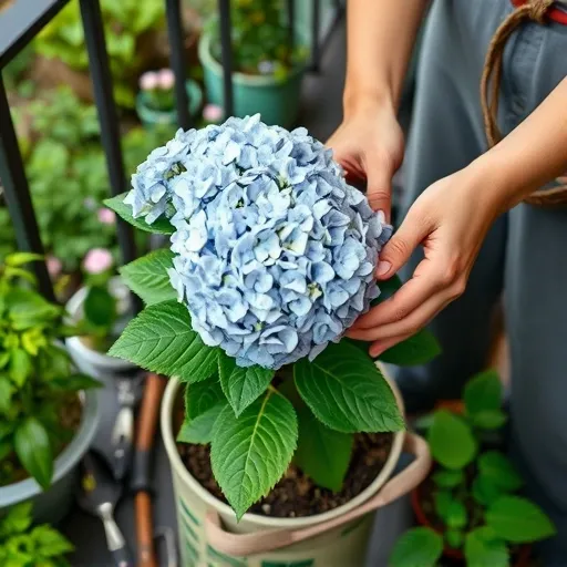 꽃이 시들거나 병이 들었을 때? 전문가의 조언이 필요한 순간