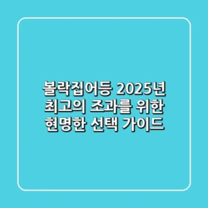 볼락집어등, 2025년 최고의 조과를 위한 현명한 선택 가이드