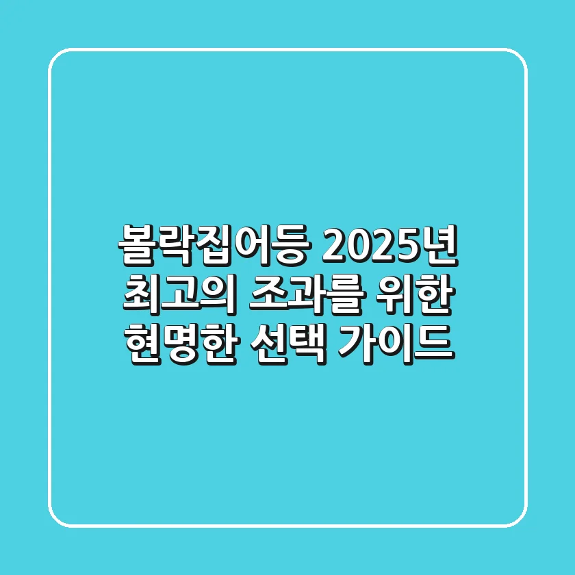 볼락집어등, 2025년 최고의 조과를 위한 현명한 선택 가이드