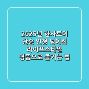 2025년 한사토이: 단순 인형 넘어선 라이프스타일 명품으로 즐기는 법