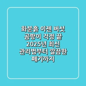 화분흙, 이젠 버섯 곰팡이 걱정 끝! 2025년 최신 관리법부터 깔끔한 폐기까지