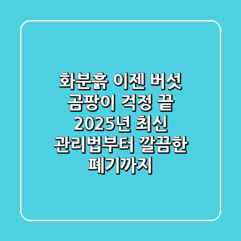 화분흙, 이젠 버섯 곰팡이 걱정 끝! 2025년 최신 관리법부터 깔끔한 폐기까지
