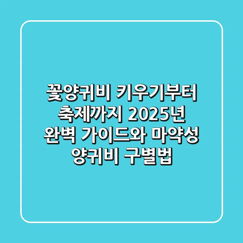 꽃양귀비 키우기부터 축제까지: 2025년 완벽 가이드와 마약성 양귀비 구별법