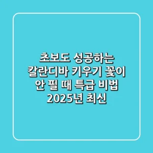 초보도 성공하는 칼란디바 키우기, 꽃이 안 필 때 특급 비법 (2025년 최신)
