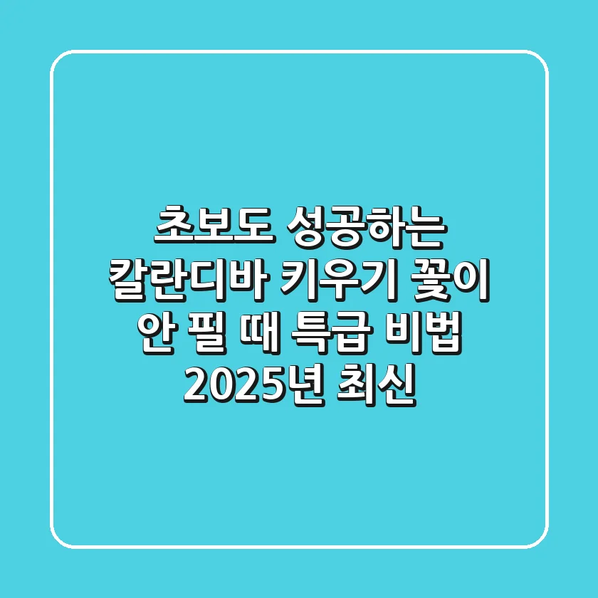 초보도 성공하는 칼란디바 키우기, 꽃이 안 필 때 특급 비법 (2025년 최신)