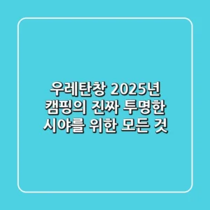 우레탄창, 2025년 캠핑의 '진짜 투명한' 시야를 위한 모든 것