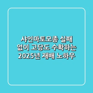 샤인마토모종, 실패 없이 고당도 수확하는 2025년 재배 노하우
