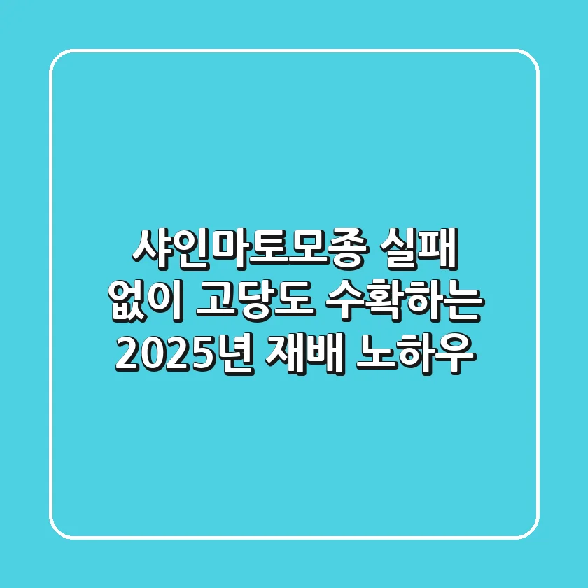 샤인마토모종, 실패 없이 고당도 수확하는 2025년 재배 노하우