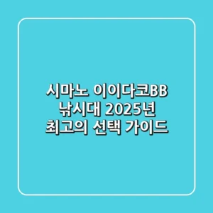 시마노 이이다코BB 낚시대, 2025년 최고의 선택 가이드