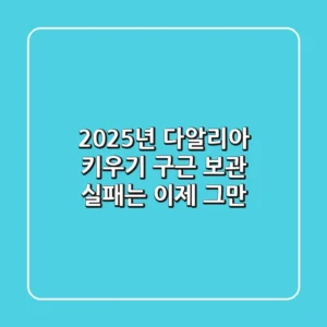 2025년 다알리아 키우기, 구근 보관 실패는 이제 그만!