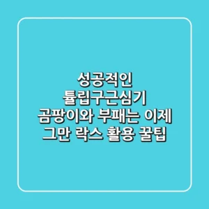 성공적인 튤립구근심기: 곰팡이와 부패는 이제 그만! 락스 활용 꿀팁