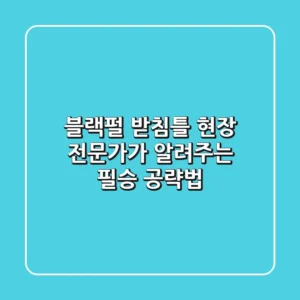 블랙펄 받침틀, 현장 전문가가 알려주는 필승 공략법