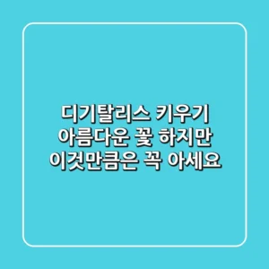 디기탈리스 키우기: 아름다운 꽃, 하지만 이것만큼은 꼭 아세요!