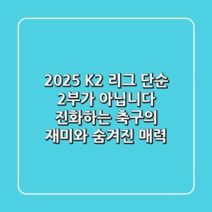 2025 K2 리그: 단순 2부가 아닙니다! 진화하는 축구의 재미와 숨겨진 매력