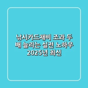 낚시카드채비, 조과 두 배 늘리는 실전 노하우 (2025년 최신)