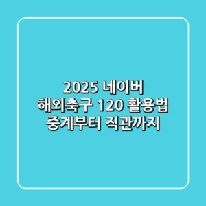 2025 네이버 해외축구 120% 활용법: 중계부터 직관까지