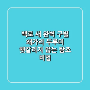 백로 새, 완벽 구별! 왜가리, 두루미 헷갈리지 않는 탐조 비법