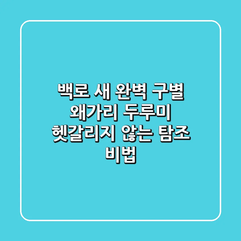 백로 새, 완벽 구별! 왜가리, 두루미 헷갈리지 않는 탐조 비법