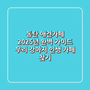 동탄 애견카페, 2025년 완벽 가이드: 우리 강아지 인생 카페 찾기!