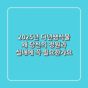 2025년 다년생식물, 왜 당신의 정원과 실내에 꼭 필요한가요?
