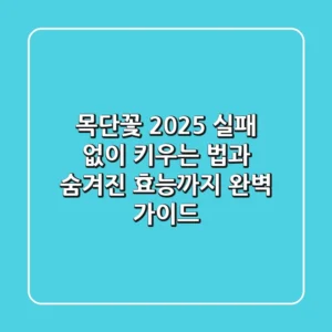 목단꽃 2025, 실패 없이 키우는 법과 숨겨진 효능까지 완벽 가이드