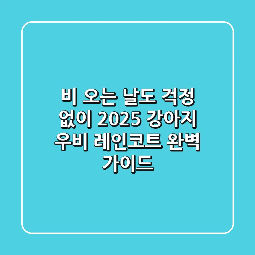 비 오는 날도 걱정 없이! 2025 강아지 우비, 레인코트 완벽 가이드